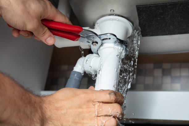 Best Flood damage cleanup  in Primera, TX
