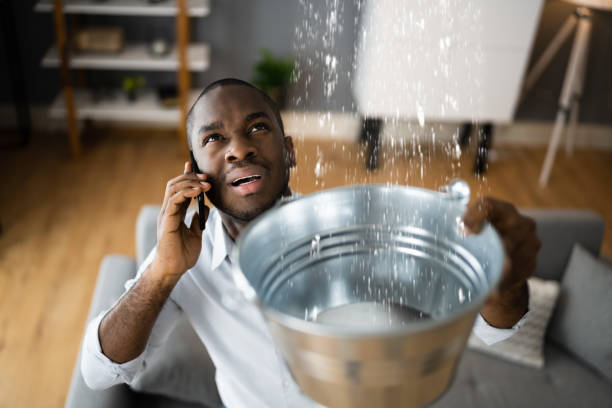Best Water damage restoration near me  in Primera, TX