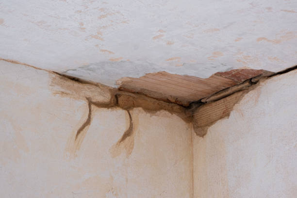 Local water damage restoration in Primera, TX