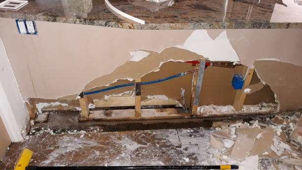  Primera, TX Water damage restoration Pros