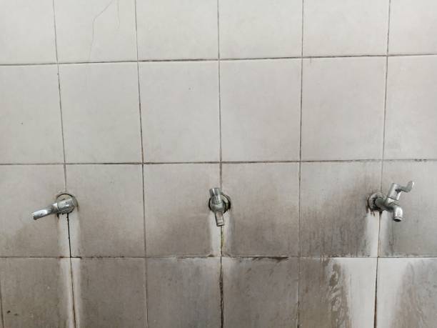 Trusted Primera, TX Water damage restoration Experts