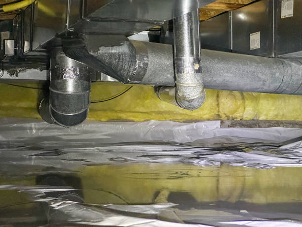 Best Flood restoration services  in Primera, TX