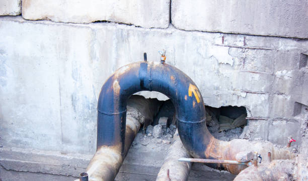 Best 24/7 water damage repair  in Primera, TX